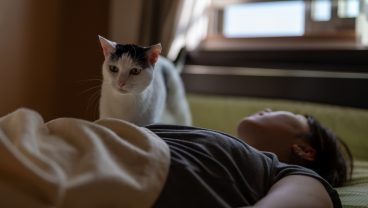 この研究結果は当たり前のことのように思えるかもしれないが…　Photo: SetsukoN / Getty Images